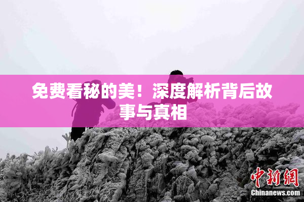 免费看秘的美！深度解析背后故事与真相