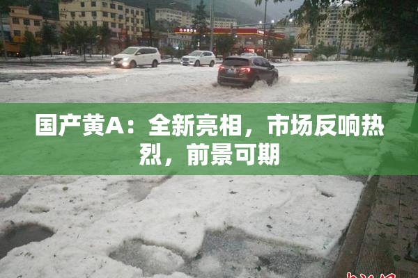 国产黄A：全新亮相，市场反响热烈，前景可期