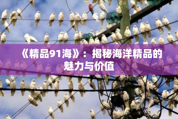 《精品91海》：揭秘海洋精品的魅力与价值