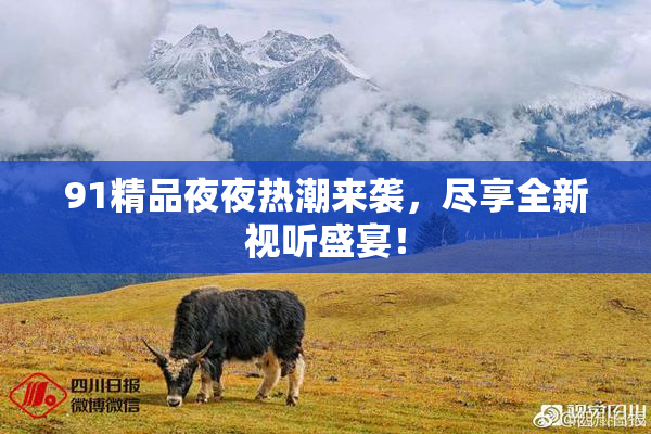 91精品夜夜热潮来袭，尽享全新视听盛宴！