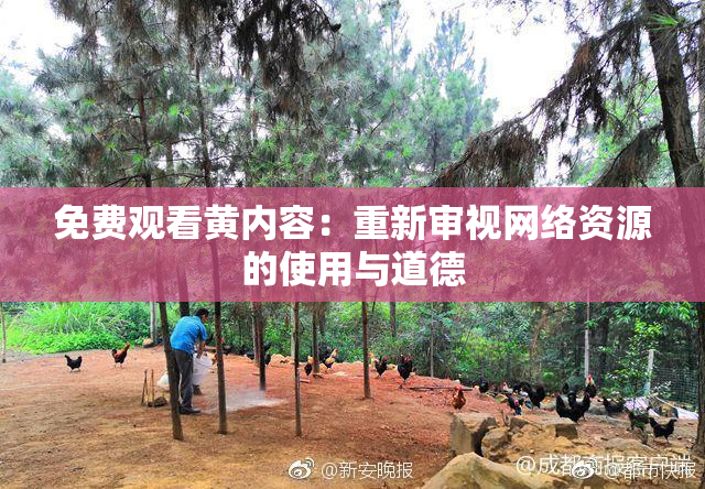 免费观看黄内容：重新审视网络资源的使用与道德