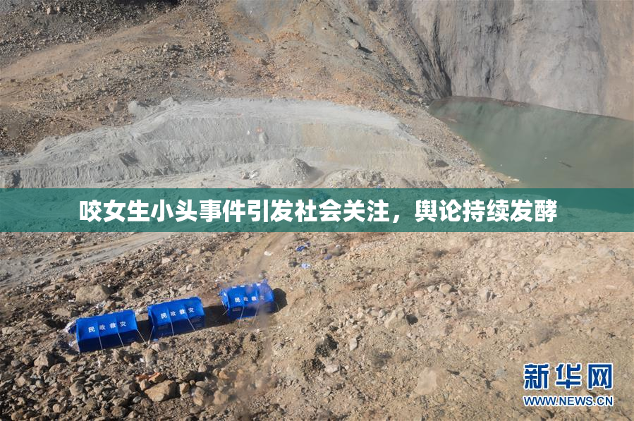 咬女生小头事件引发社会关注，舆论持续发酵