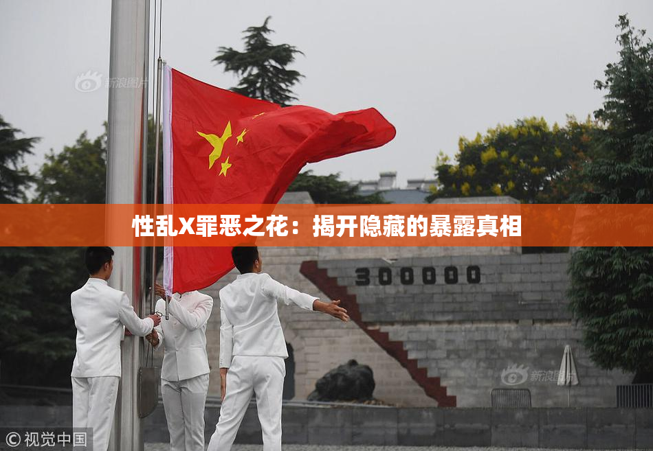 性乱X罪恶之花：揭开隐藏的暴露真相