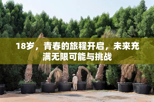18岁，青春的旅程开启，未来充满无限可能与挑战