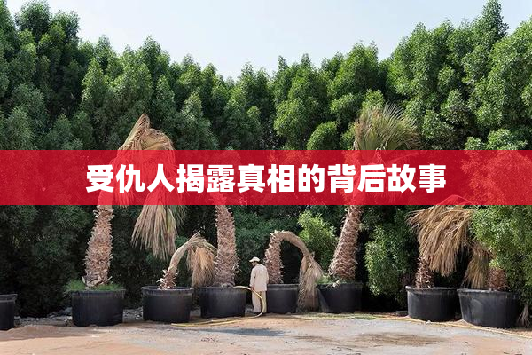 受仇人揭露真相的背后故事