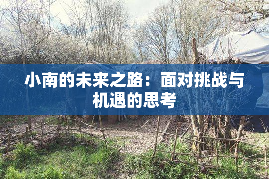 小南的未来之路：面对挑战与机遇的思考