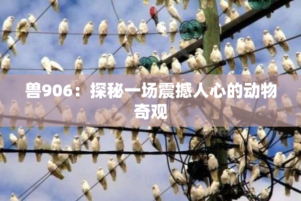兽906：探秘一场震撼人心的动物奇观