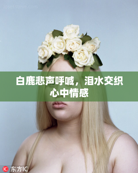 白鹿悲声呼喊，泪水交织心中情感