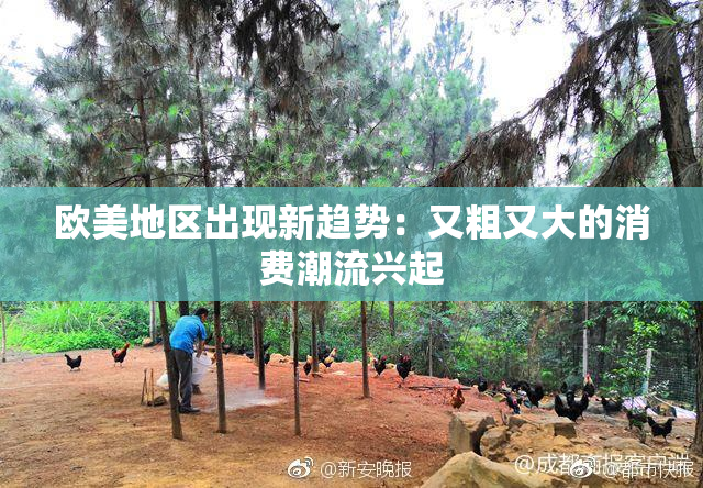 欧美地区出现新趋势：又粗又大的消费潮流兴起
