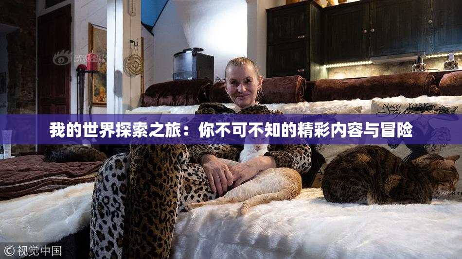 我的世界探索之旅：你不可不知的精彩内容与冒险