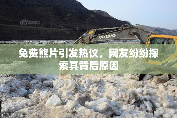 免费熊片引发热议，网友纷纷探索其背后原因
