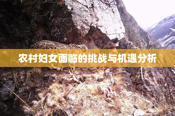 农村妇女面临的挑战与机遇分析