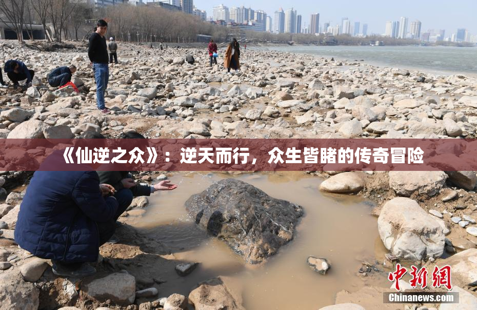 《仙逆之众》：逆天而行，众生皆睹的传奇冒险