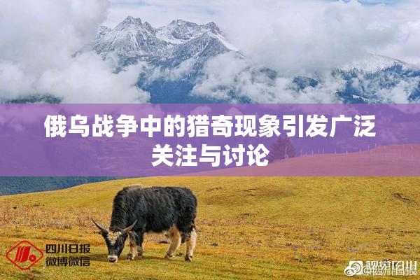 俄乌战争中的猎奇现象引发广泛关注与讨论