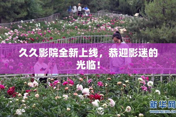 久久影院全新上线，恭迎影迷的光临！