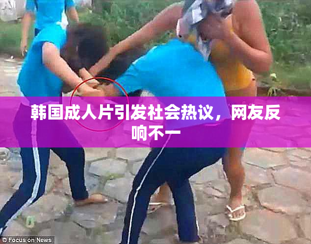 韩国成人片引发社会热议，网友反响不一