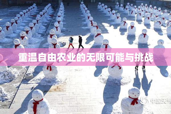 重温自由农业的无限可能与挑战