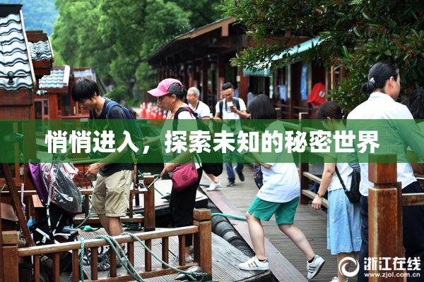 悄悄进入，探索未知的秘密世界