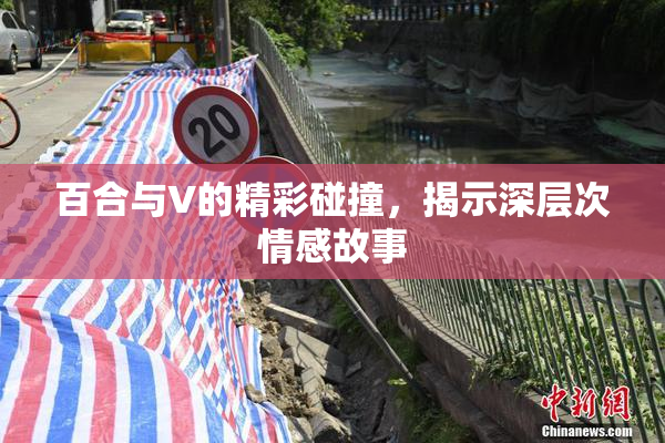 百合与V的精彩碰撞，揭示深层次情感故事