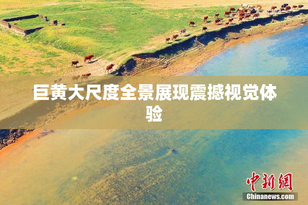 巨黄大尺度全景展现震撼视觉体验