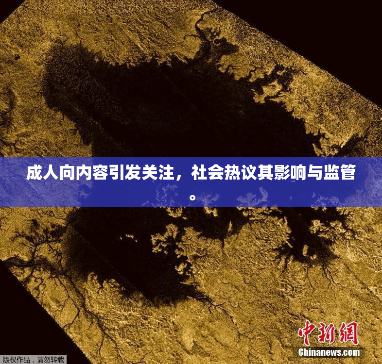 成人向内容引发关注，社会热议其影响与监管。