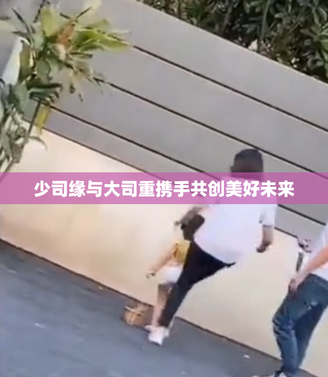 少司缘与大司重携手共创美好未来