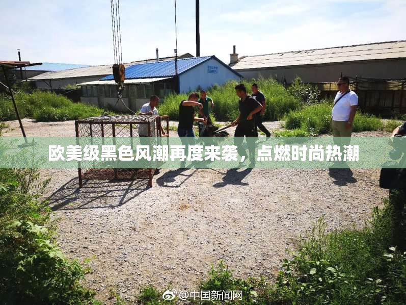 欧美级黑色风潮再度来袭，点燃时尚热潮