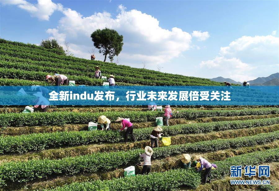 全新indu发布，行业未来发展倍受关注