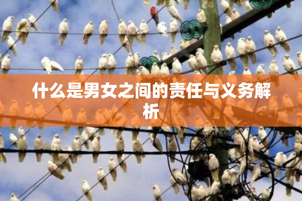 什么是男女之间的责任与义务解析