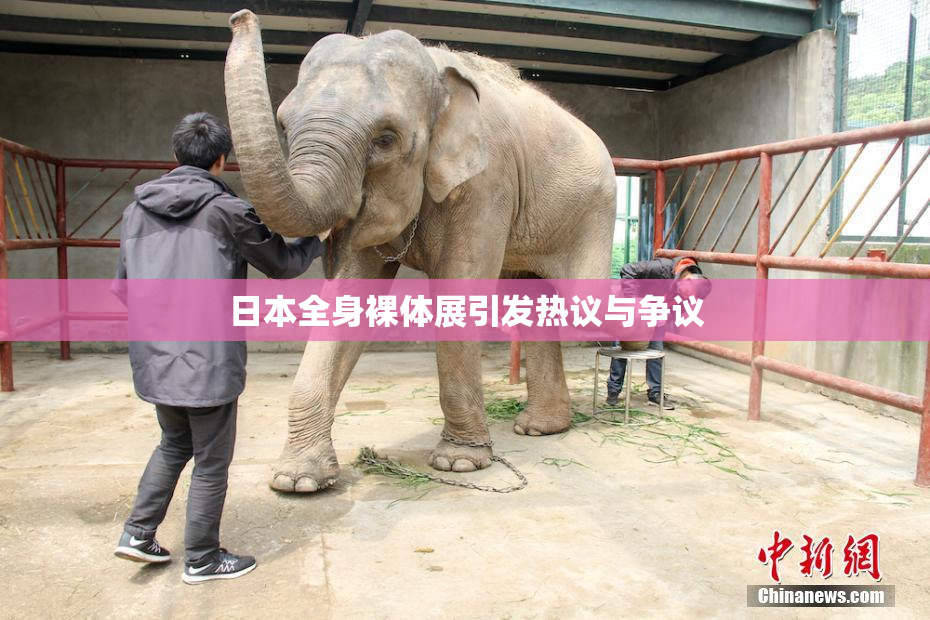日本全身裸体展引发热议与争议