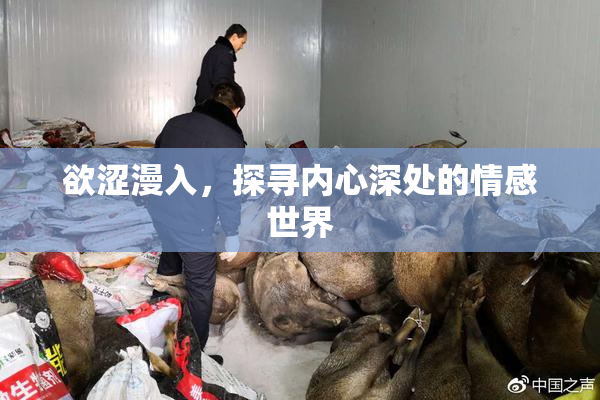 欲涩漫入，探寻内心深处的情感世界