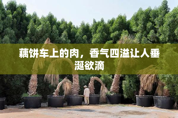 藕饼车上的肉，香气四溢让人垂涎欲滴