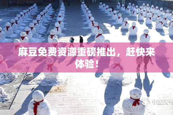 麻豆免费资源重磅推出，赶快来体验！