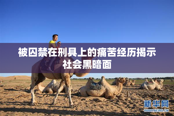 被囚禁在刑具上的痛苦经历揭示社会黑暗面
