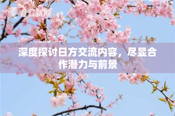 深度探讨日方交流内容，尽显合作潜力与前景