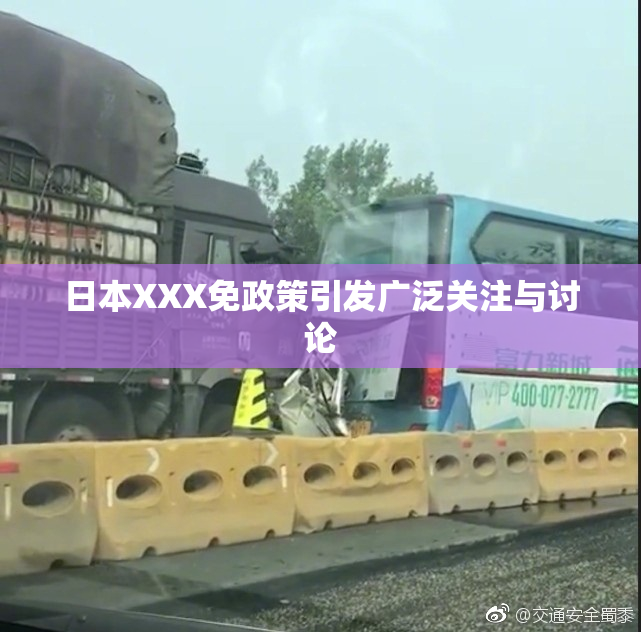 日本XXX免政策引发广泛关注与讨论