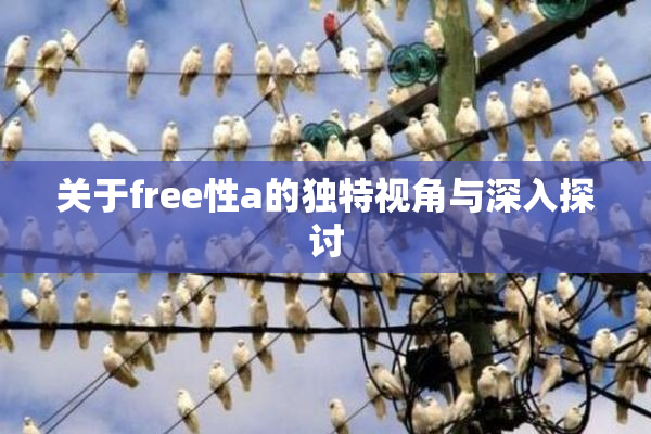 关于free性a的独特视角与深入探讨