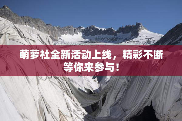 萌萝社全新活动上线，精彩不断等你来参与！