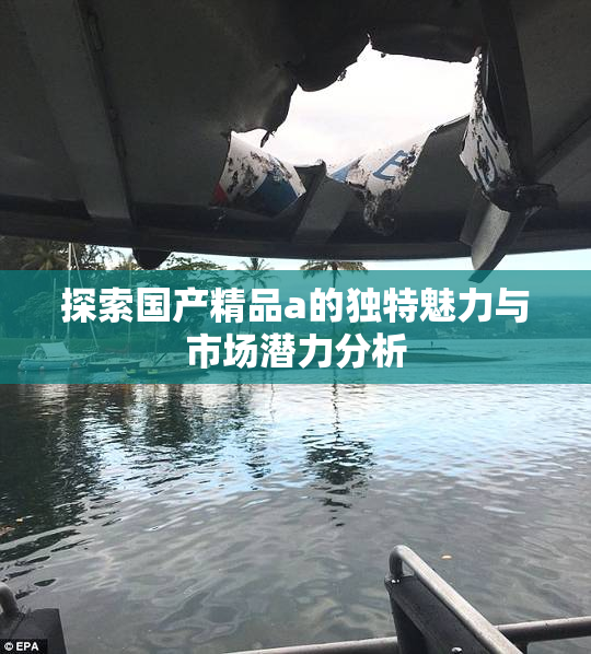 探索国产精品a的独特魅力与市场潜力分析