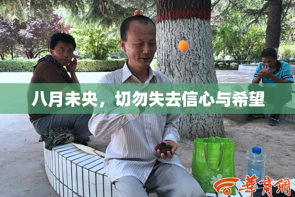 八月未央，切勿失去信心与希望