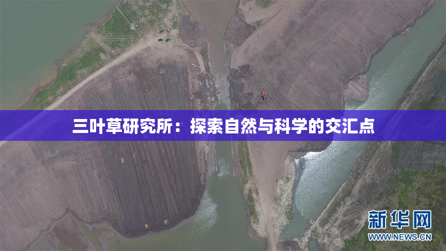 三叶草研究所：探索自然与科学的交汇点