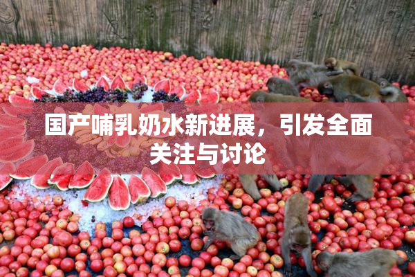 国产哺乳奶水新进展，引发全面关注与讨论