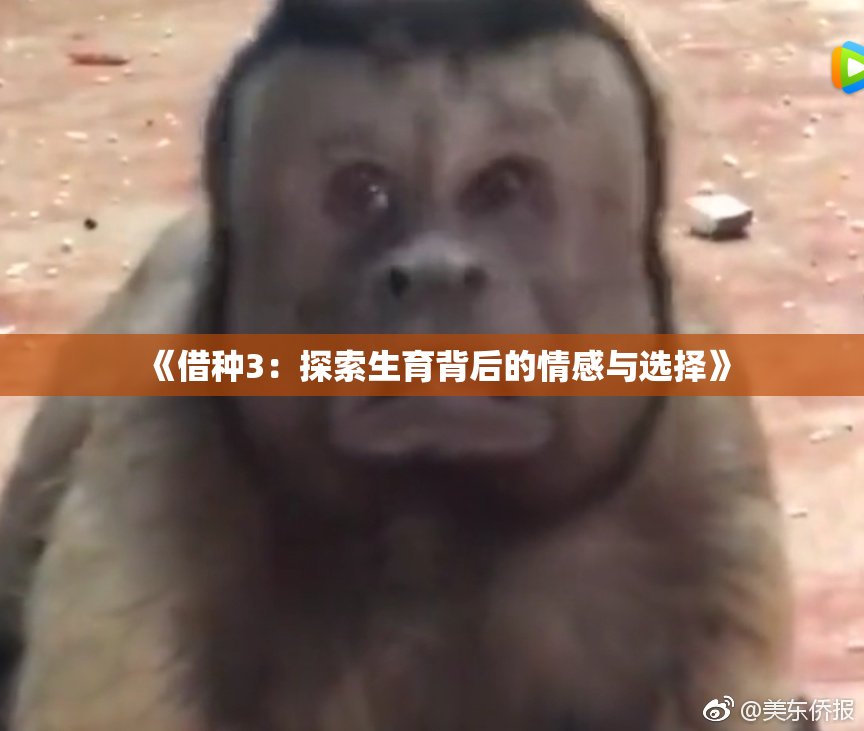 《借种3：探索生育背后的情感与选择》
