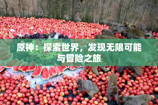 原神：探索世界，发现无限可能与冒险之旅