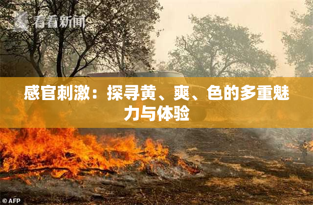 感官刺激：探寻黄、爽、色的多重魅力与体验