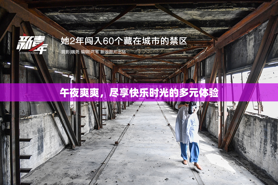 午夜爽爽，尽享快乐时光的多元体验