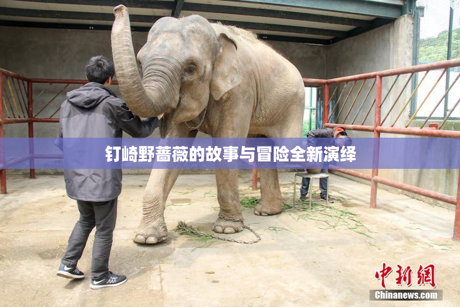 钉崎野蔷薇的故事与冒险全新演绎
