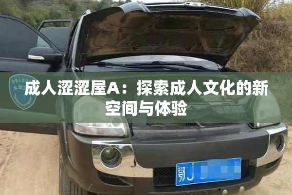 成人涩涩屋A：探索成人文化的新空间与体验