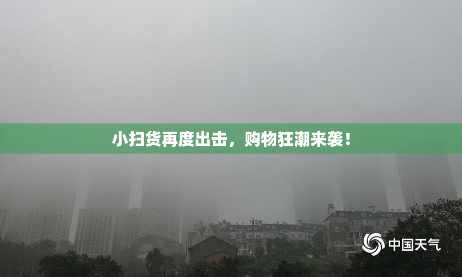 小扫货再度出击，购物狂潮来袭！
