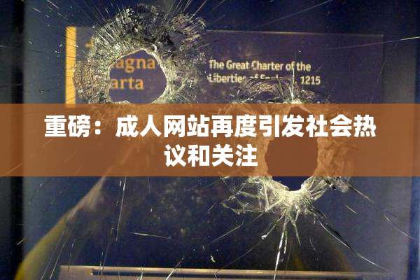 重磅：成人网站再度引发社会热议和关注